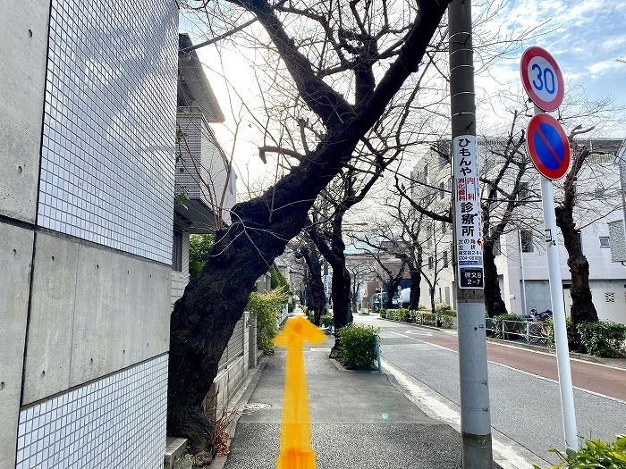 EGOISTへ行ってみよう！ - 学芸大学駅 編 -